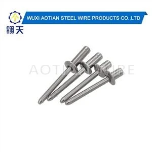 Rivet Dall